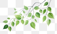 PNG Green leaves green plant leaf. AI generated Image by rawpixel.
