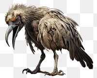 PNG Skull bird monster vulture animal condor. AI generated Image by rawpixel.