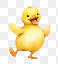 PNG Duck poultry animal yellow. 