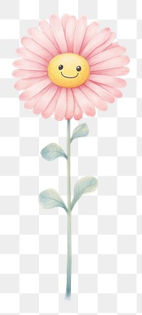 PNG Flower petal daisy plant. AI generated Image by rawpixel.