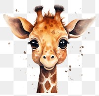 PNG Baby Giraffa animal wildlife giraffe. 