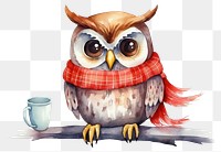 PNG Owl drinking coffee animal bird cup. AI generated Image by rawpixel.
