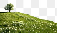 PNG Meadow field grassland landscape. AI generated Image by rawpixel.