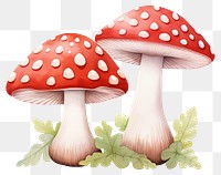 PNG A mushroom cute character agaric fungus plant. AI generated Image by rawpixel.