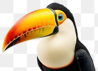 PNG Toucan toco bird toucan penguin animal. AI generated Image by rawpixel.