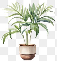 PNG Houseplant leaf flowerpot freshness. AI generated Image by rawpixel.