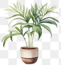 PNG Houseplant leaf flowerpot freshness. 