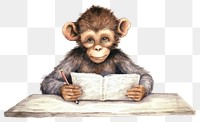 PNG Monkey student animal mammal book. AI generated Image by rawpixel.