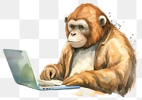 PNG Sloth businessman using laptop animal orangutan wildlife. AI generated Image by rawpixel.