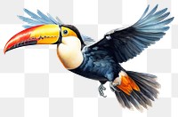 PNG Toucan toco bird toucan animal flying. AI generated Image by rawpixel.
