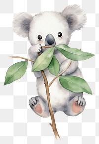 PNG Koala cartoon mammal nature. 