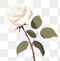 PNG A white rose flower plant white background. AI generated Image by rawpixel.