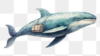 PNG Whale drawing animal mammal. AI generated Image by rawpixel.