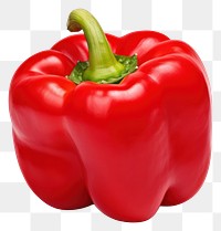 PNG Red bell pepper vegetable plant food. 