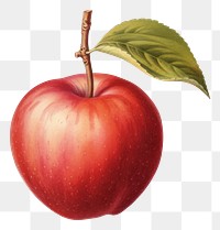 PNG Vintage Apple apple fruit. AI generated Image by rawpixel.