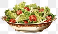 PNG Vintage Salad vegetable lettuce. AI generated Image by rawpixel.