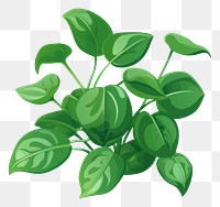 PNG Pothos vegetable plant green. AI generated Image by rawpixel.