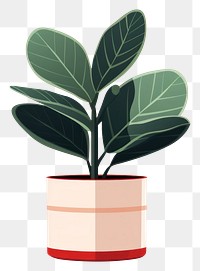 PNG Rubber Plant plant leaf houseplant. AI generated Image by rawpixel.