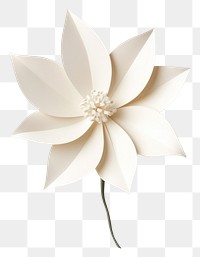 PNG One flower plant white paper. AI generated Image by rawpixel.