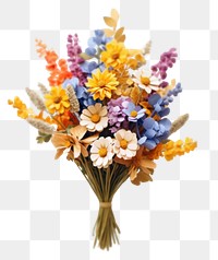 PNG Dry flower bouquet plant white background inflorescence. 