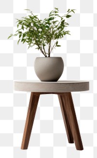 PNG  Furniture table plant vase. AI generated Image by rawpixel.