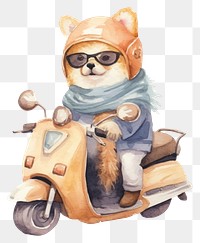 PNG Cute dog riding motocycle motorcycle vehicle scooter. 