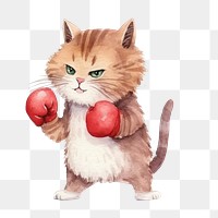 PNG Cute cats boxing mammal relaxation carnivora. 