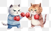 PNG Cute cats boxing mammal relaxation carnivora. AI generated Image by rawpixel.