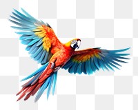 PNG Parrot animal flying bird