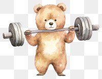 PNG Cute bear fitness sports mammal toy. 