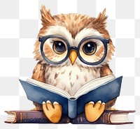 PNG Cute owl reading book publication bird  