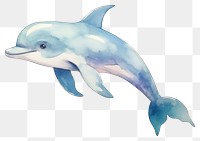 PNG Baby dolphin study animal mammal fish. 