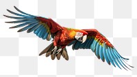 PNG Parrot parrot animal flying. AI generated Image by rawpixel.