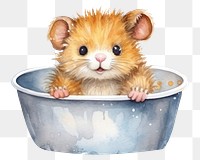 PNG Animal hamster bathtub mammal. 