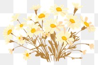 PNG Spring chamomile blooming flowers petal plant white. 