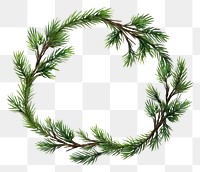 PNG Pine Branches Floral wreath branch plant tree.