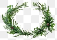 PNG Pine Branches Floral wreath plant white background celebration. 