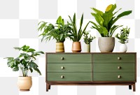 PNG Drawer plant houseplant sideboard. 