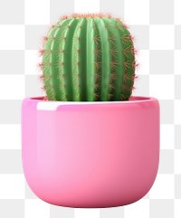 PNG Cactus plant houseplant flowerpot. 