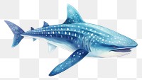 PNG Whale shark cute animal fish  