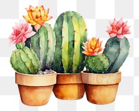 PNG Bunny ear cactus plant creativity houseplant. AI generated Image by rawpixel.