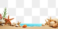 PNG Beach border seashell outdoors white background