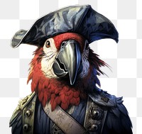 PNG Parrot pirate animal parrot bird. AI generated Image by rawpixel.