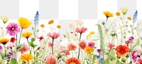 PNG Summer border backgrounds outdoors blossom