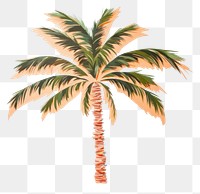 PNG Palm tree plant arecaceae pattern. AI generated Image by rawpixel.