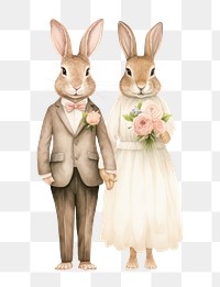 PNG Rabbits wedding animal mammal flower. 