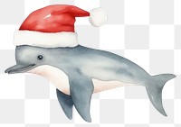 PNG Dolphin christmas animal cartoon mammal. 