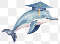 PNG Dolphin student animal cartoon mammal. 