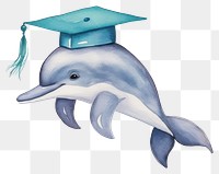 PNG Dolphin student animal cartoon mammal. 