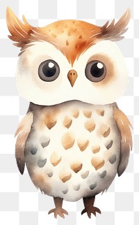 PNG Owl owl cartoon animal. 